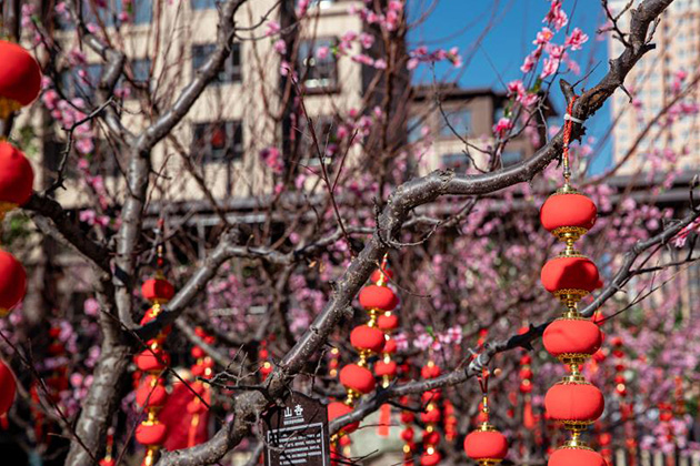 1641295008509202.jpg 2.jpg