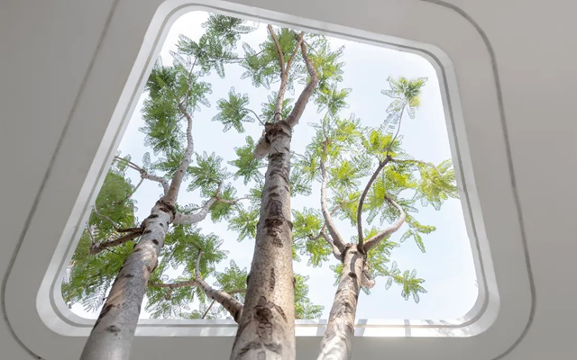 1683165985124346.jpg 009.jpg