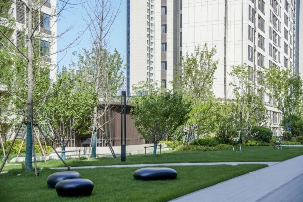 1705038586253114.jpg 圖片 24.JPG